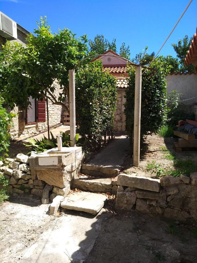 סוסק Vila Flora מראה חיצוני תמונה